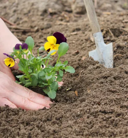 Guter Gartenbau in Glaubitz