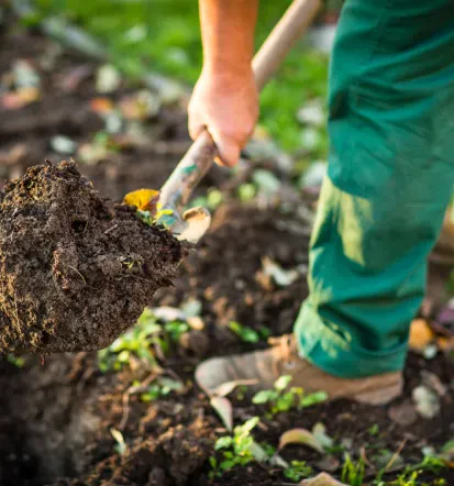 Gartenpflege vom Profi, der bester Gartenservice in Müncheberg