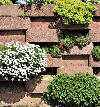 Pflanzenpflege der besten Gartenpflege