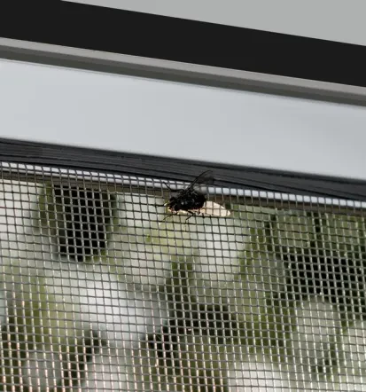 Trier: Insektenschutz professionell montieren lassen