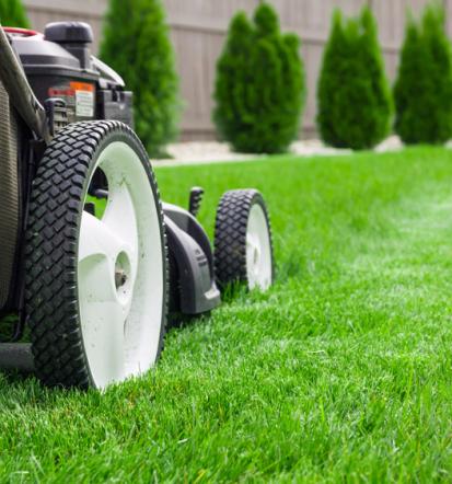 Rasenpflege der besten Gartenpflege