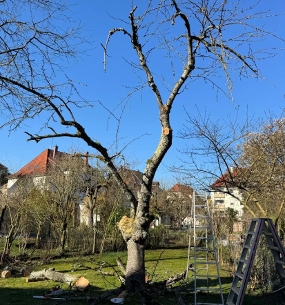 Bester Landschaftsgärtner in Kornwestheim