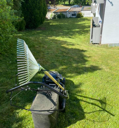 Effektiv, grün, zuverlässig, beste Gebäudereinigung in Filderstadt finden