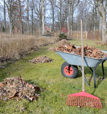 Bester Gartenservice in Müncheberg für Baumpflege und Treppenbau