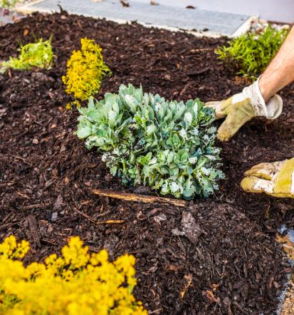 Gute Gartenpflege in Hasselroth