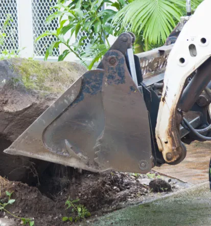 Gartenpflege und Reinigung vom Experten aus Schönefeld