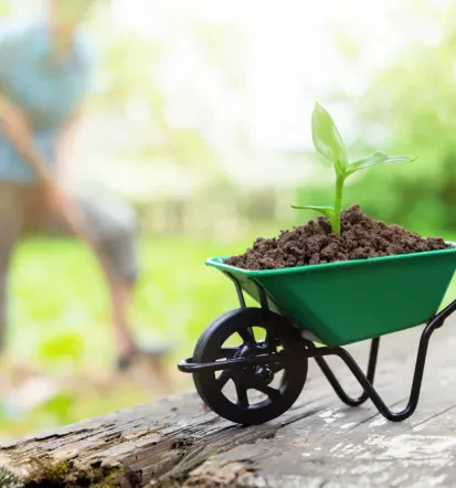 Fachgerechter Gartenbau in Glaubitz