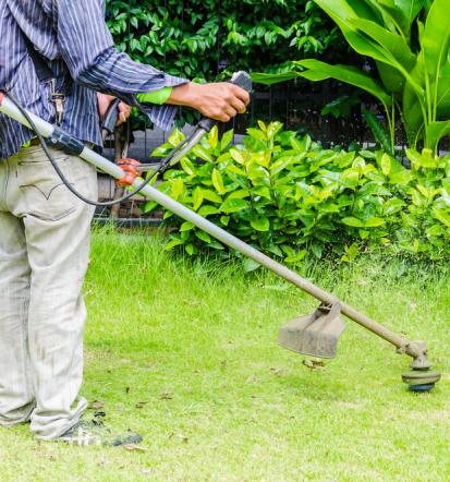 Bester Gartenbauer in Hohberg