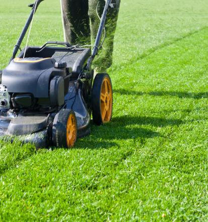 Preiswerter Gartenservice in Emmendingen