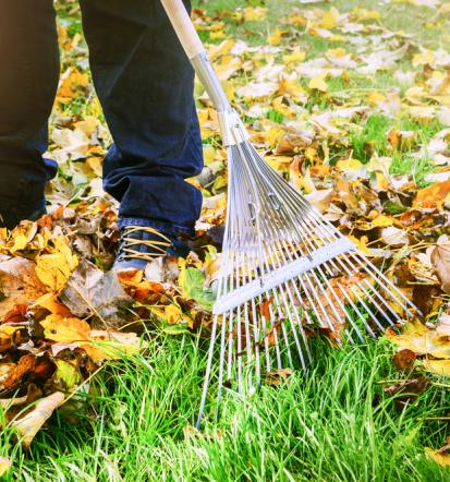 Bester Gartenservice in Emmendingen
