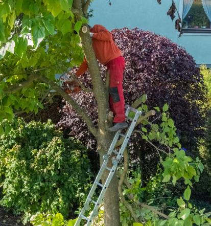 Professioneller Gartenservice in Emmendingen
