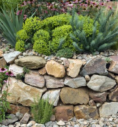 Guter Gartenbauer in Untereisesheim