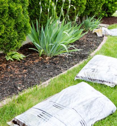 Professioneller Gartenbauer in Untereisesheim