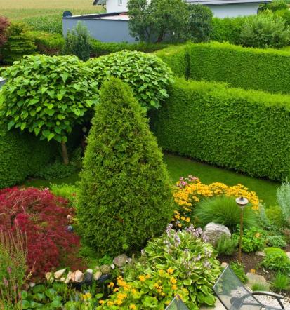 Bester Gartenbauer in Untereisesheim