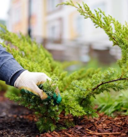 Professionelle Gartenpflege in Heilbronn