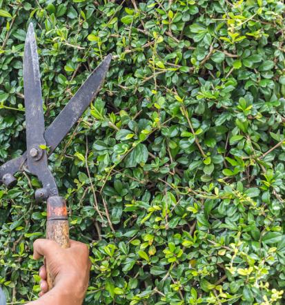 Professioneller Gartenbau in Heilbronn