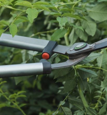 Professionelle Gartenpflege in Deißlingen