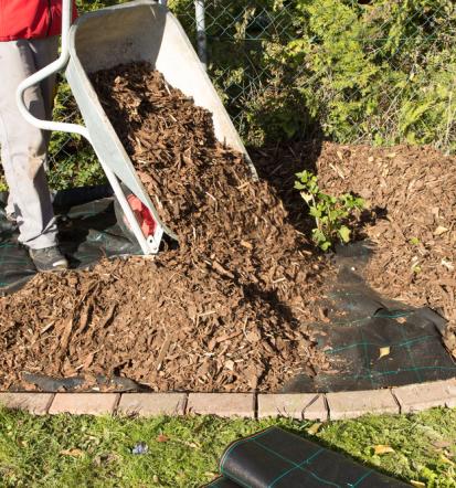 Gartenarbeiten und Objektdienste Allrounder in Borna mit Herz und Verstand