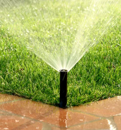 Nachhaltige Gartenpflege Offenburg