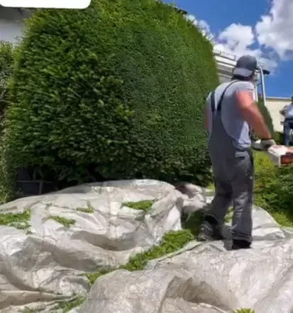 Guter Gärtner Offenthal