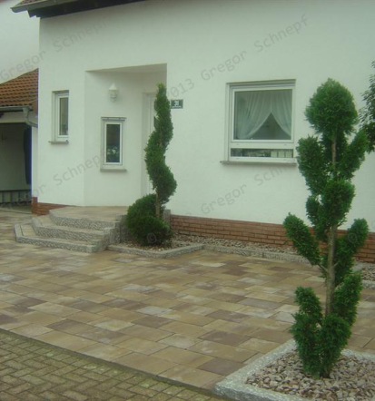 Gartenpflege und Landschaftsbau in Ludwigshafen, Expertenservice