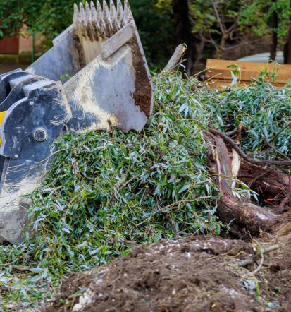 Seriöser Anbieter für Gartenentrümpelung in Colmar und Freiburg im Breisgau