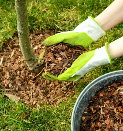 Hochwertiger Gartenbauer in Weißenfels