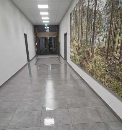 Professionelle Fenster- und Unterhaltsreinigung in Waiblingen