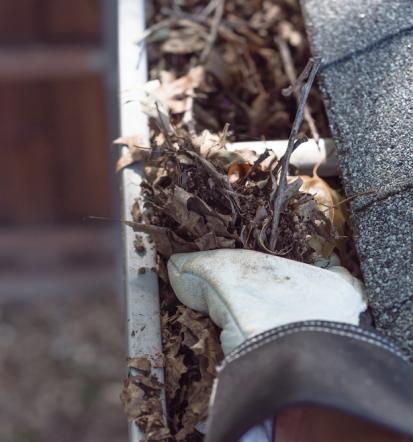 Sorgfältige Dachrinnenpflege in Pirmasens