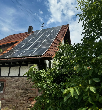 Bester Anbieter für effektive Taubenabwehrsysteme Baden-Baden