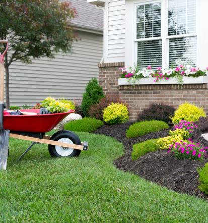 Guter Gartenbauer in Hage