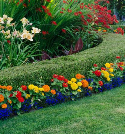 Professioneller Gartenbauer in Hage