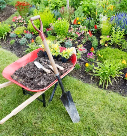 Erfahrener Gartenbauer in Weißenfels