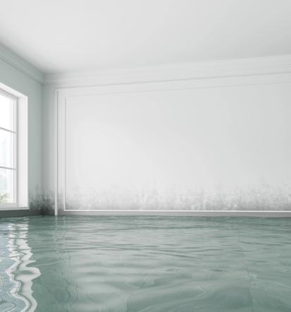 Leckageortung und Bautrocknung Baden-Württemberg