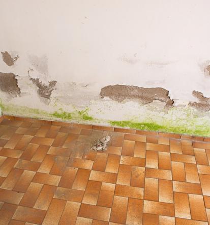 Feuchtigkeitsschaden Sanierung Baden-Württemberg