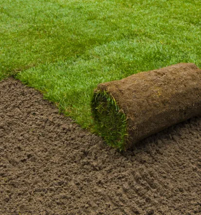 Kompetenter Gartenbauer in Weißenfels