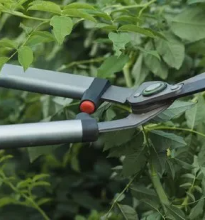 Beste Gartenarbeit in Witten