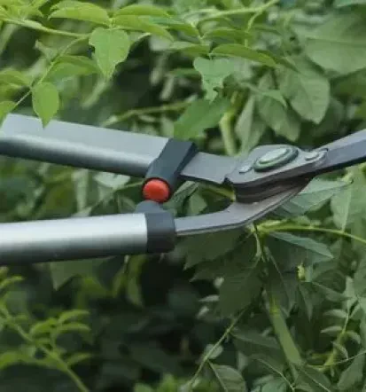 Beste Gartenarbeit in Witten