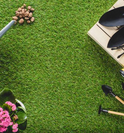 Günstige Garten- und Baggerarbeiten in Berlin