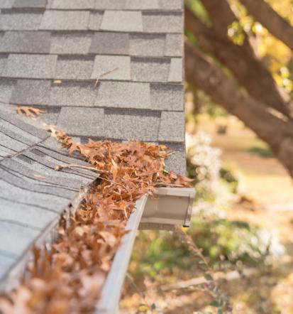 Professioneller Hausmeisterservice in Winnenden