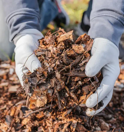 Regelmäßige Laubentsorgung und Hausmeisterdienst Rheinmünster