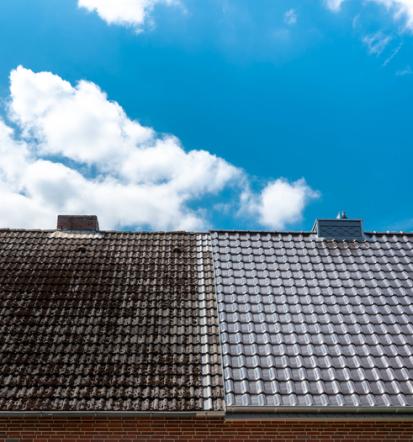 Saubere Regenrinnenpflege in Pirmasens