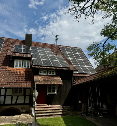 Experte für Taubenabwehrsysteme Baden-Baden