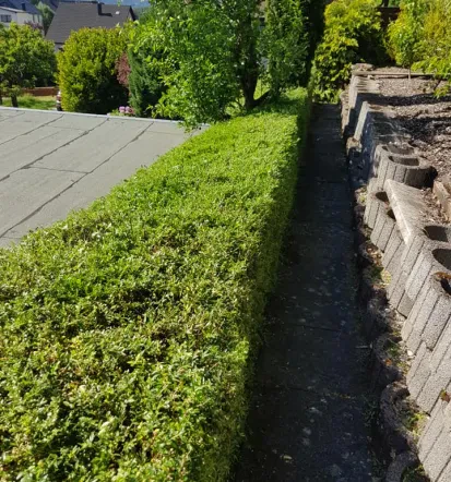 Bester Hausservice in Morbach, zuverlässig und flexibel