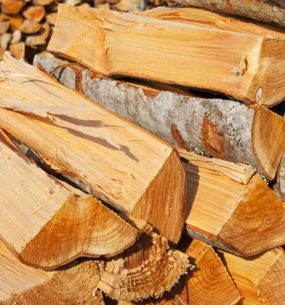 Günstiges Brennholz, Fichte Seesen