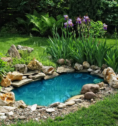 Gartenarbeiten Friedrichshafen, Baden-Württemberg