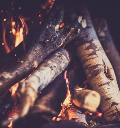 Beste Fichte in Seesen