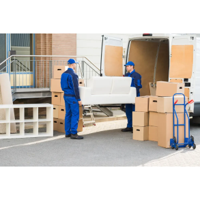 Sam Transport und Umzug