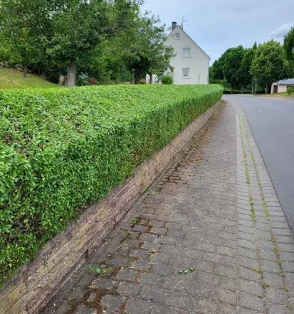 Hochwertiger Hausservice für Privat und Gewerbe
