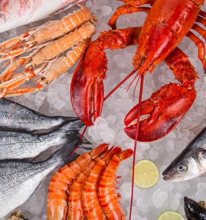 Beste Fische und Meeresfrüchte Sundhagen